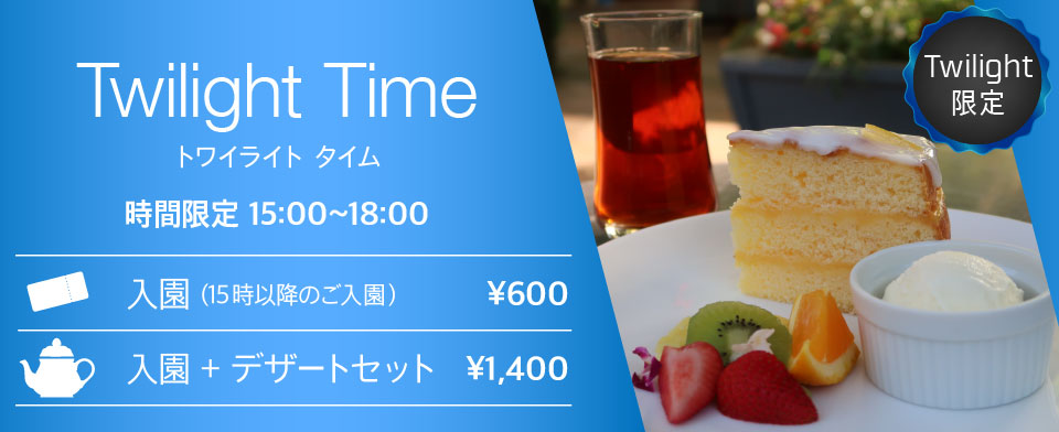 トワイライトタイム