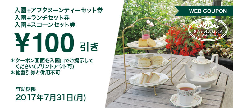 webクーポン