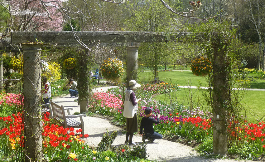 バラクラ友の会