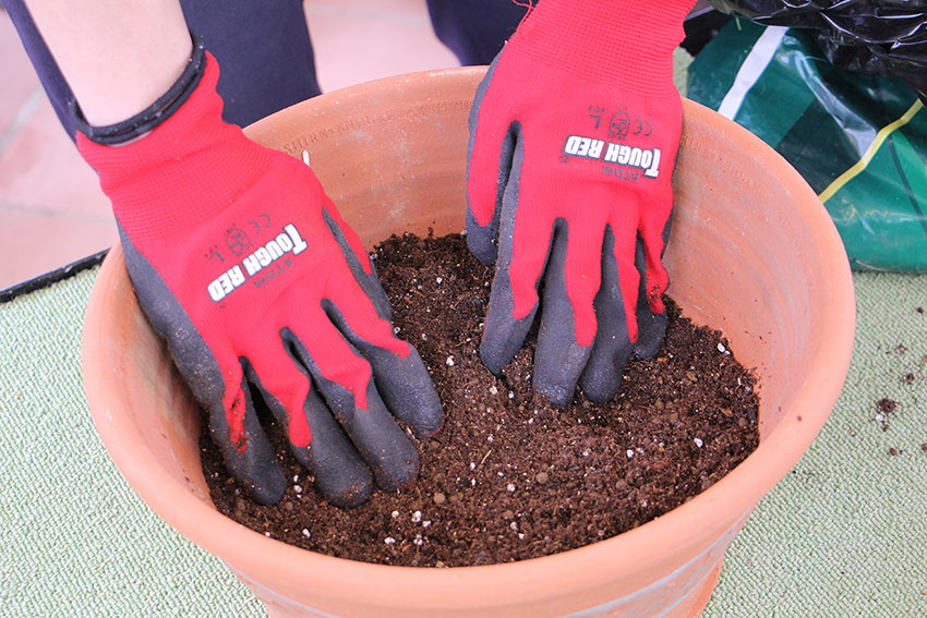 寄植えの基本2 土を入れる