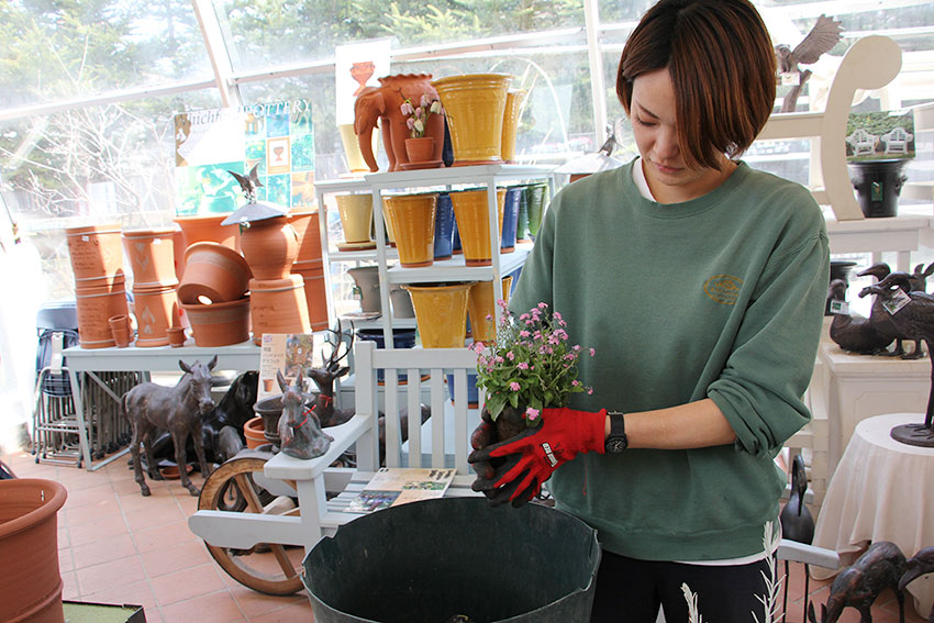 寄植えの基本4 根を挟んでつぶす