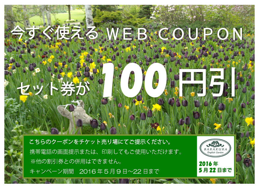 160508-web-coupon