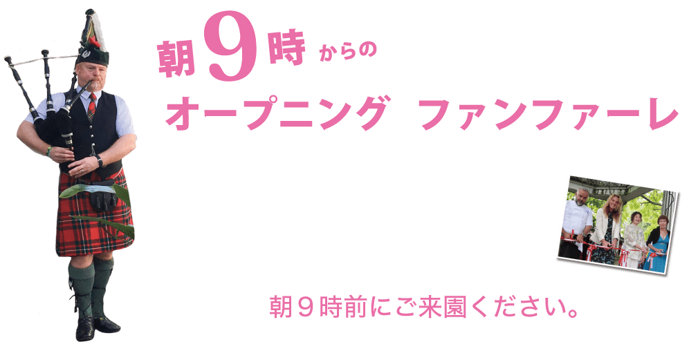 オープニング