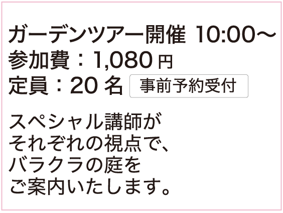 詳細内容