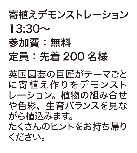 詳細内容