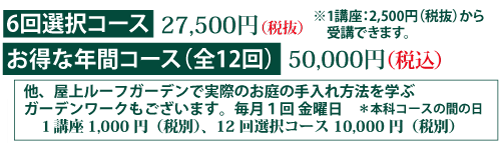 料金