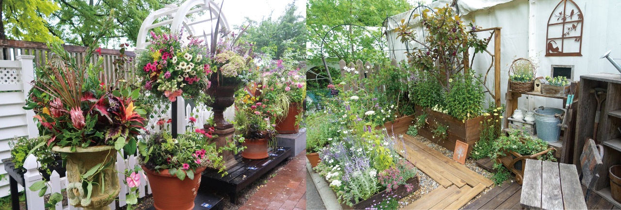 寄植えの芸術展