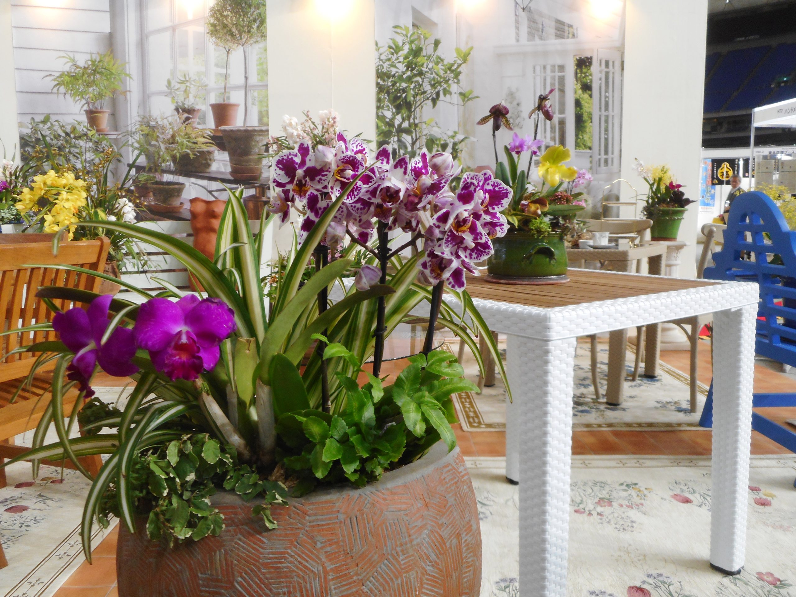 初開催】バラクラらん展 1月17日～2月28日 | 蓼科高原バラクラ