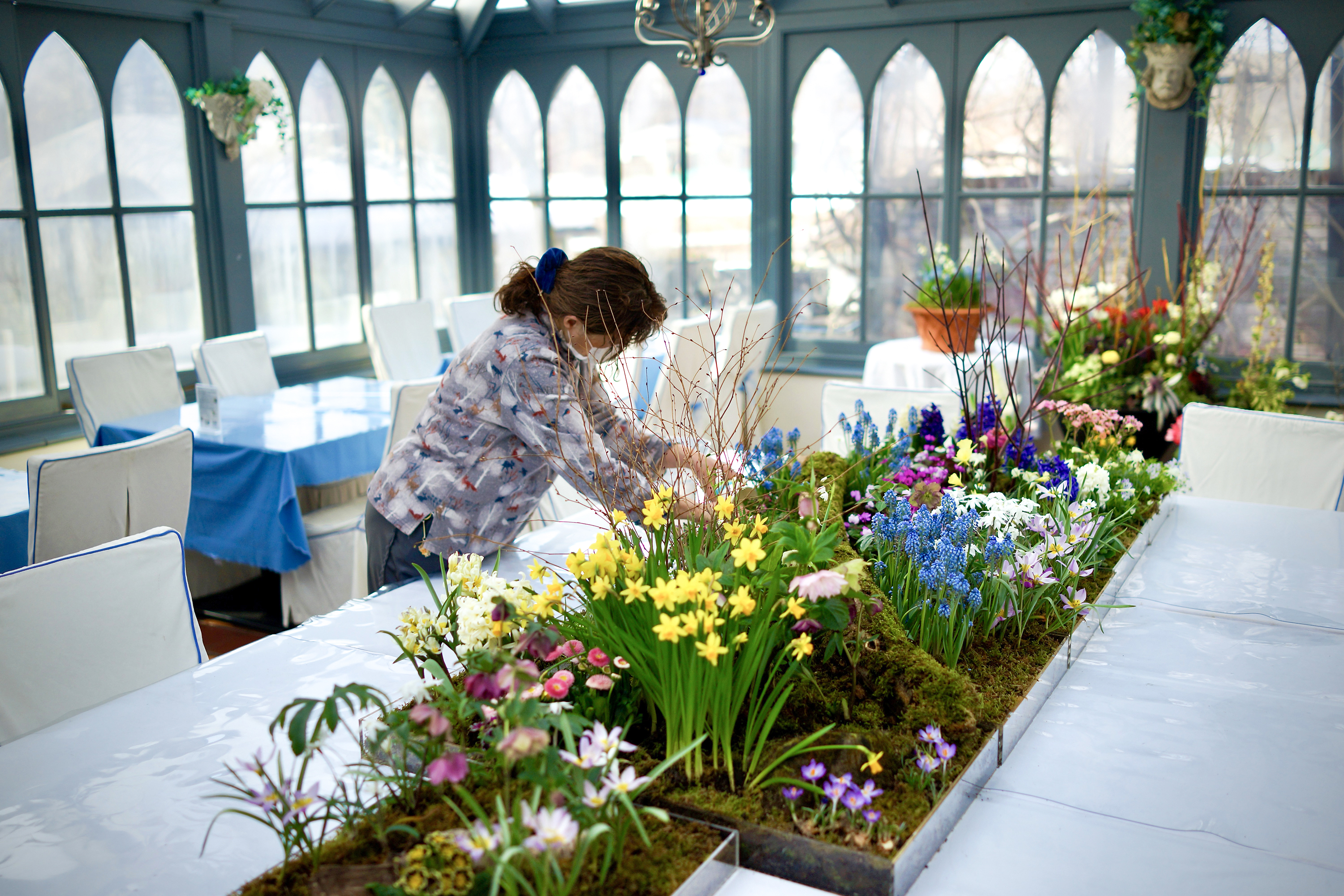 海外ロールチケット 他 まとめ売り バラ売り不可　ジャーナル 海外ロールチケット 他 まとめ売り バラ売り不可 ジャーナル 海外