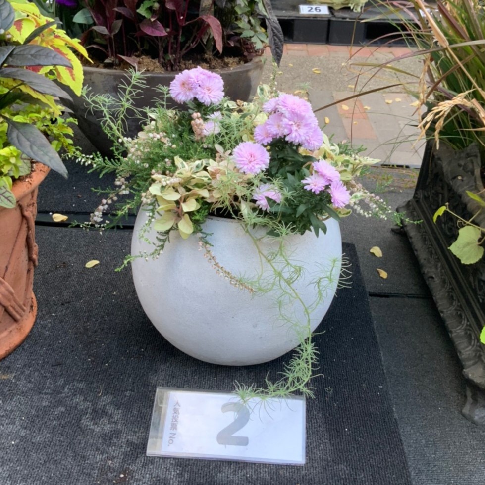 97a96d3980342a9bfabd42af2b7aa6