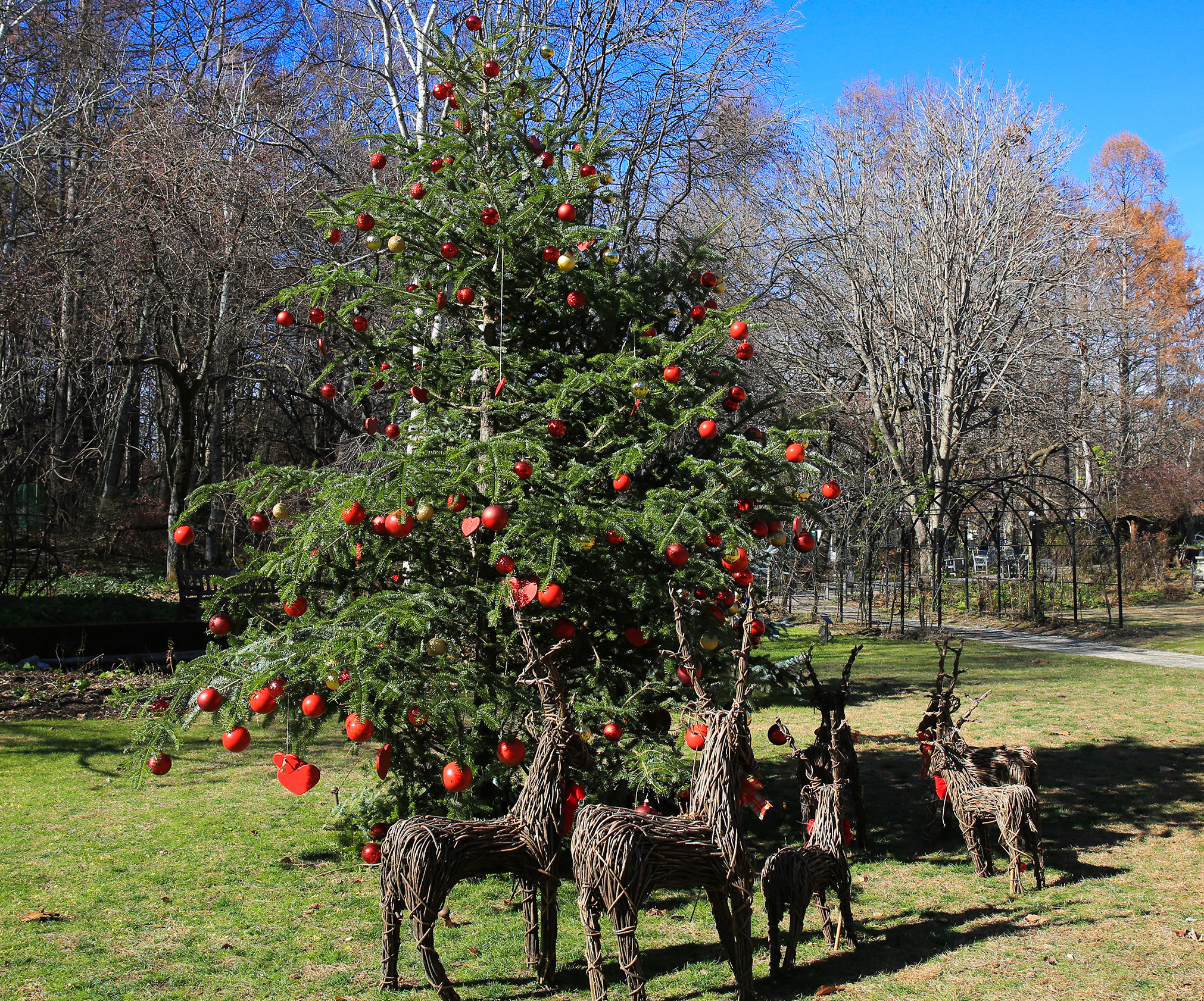 薔薇とレースのジャンクジャーナル・雑記帳　ハッピークリスマス 自信作です♪クリスマスのジャンクジャーナル＃30【抽選販売