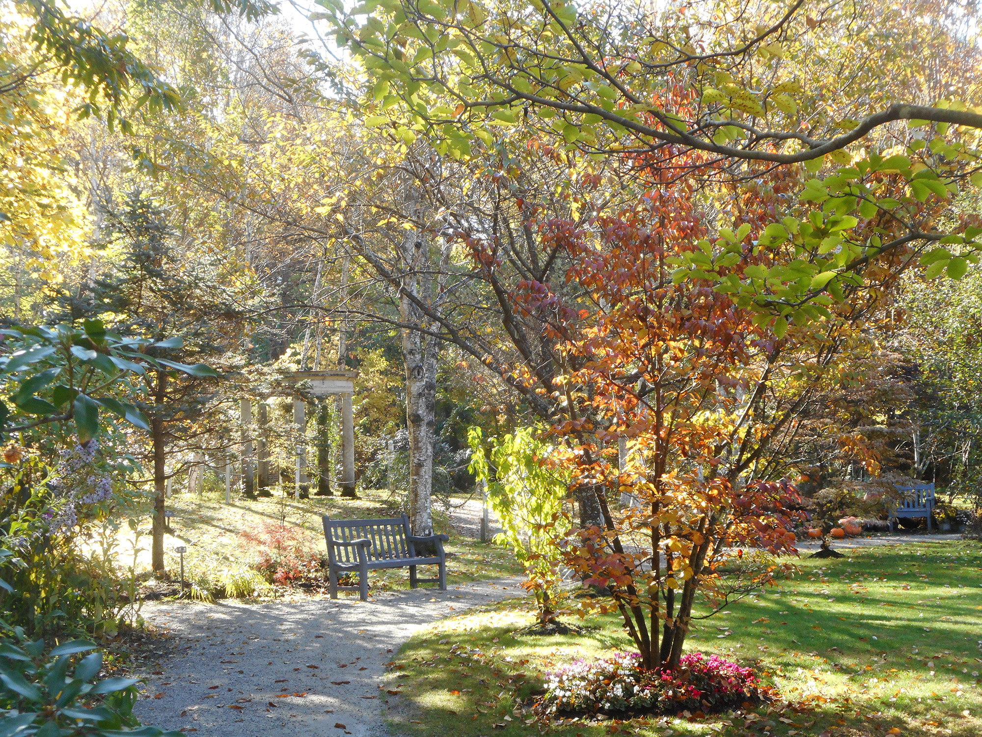 シーグラスアート（落ち葉が輝く季節に☆） ochiba01.jpg