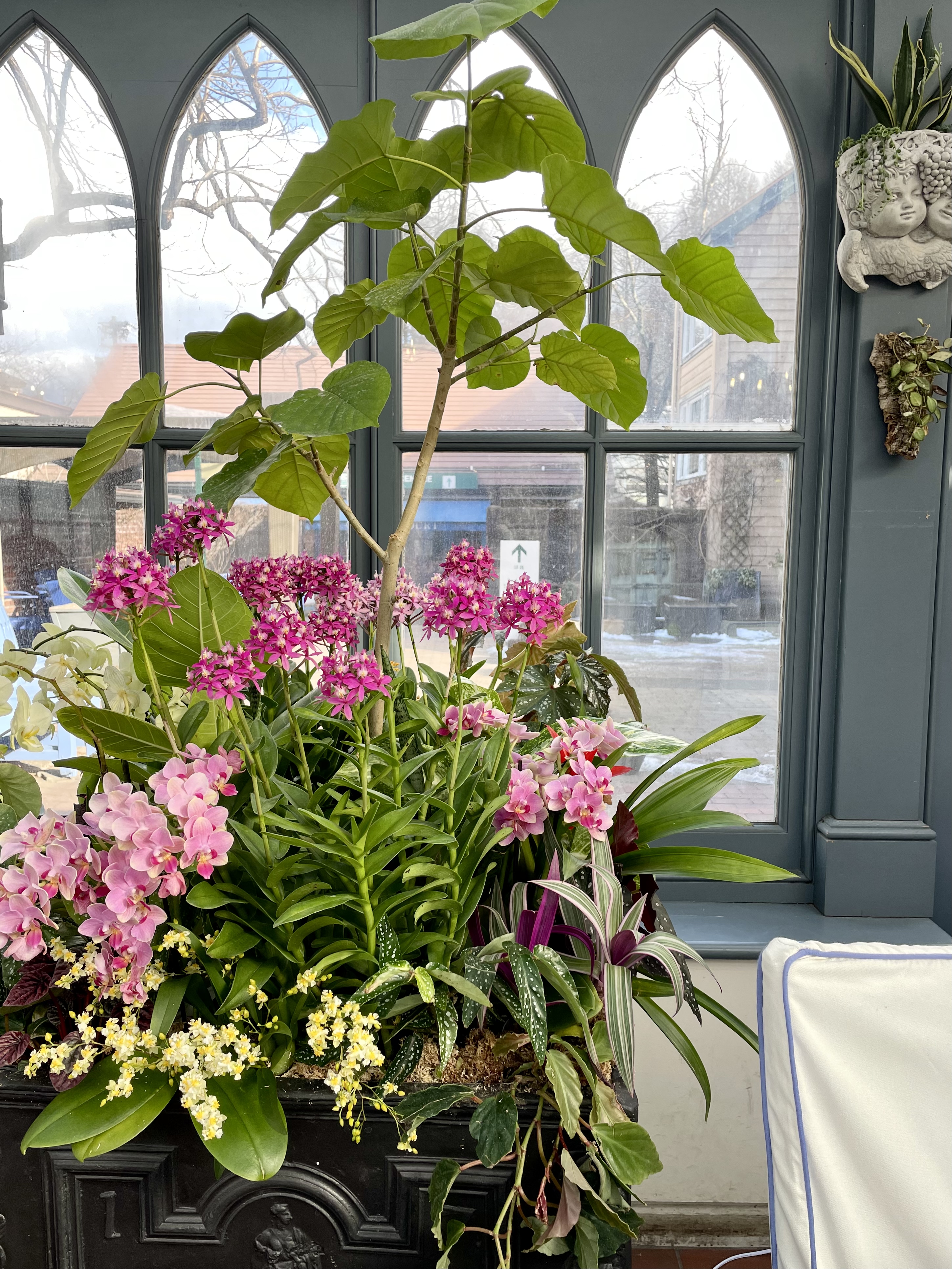 パキラの花様 リクエスト 2点 まとめ商品 パキラの花様 リクエスト 2点 まとめ商品 パキラの花様 リクエスト 2点