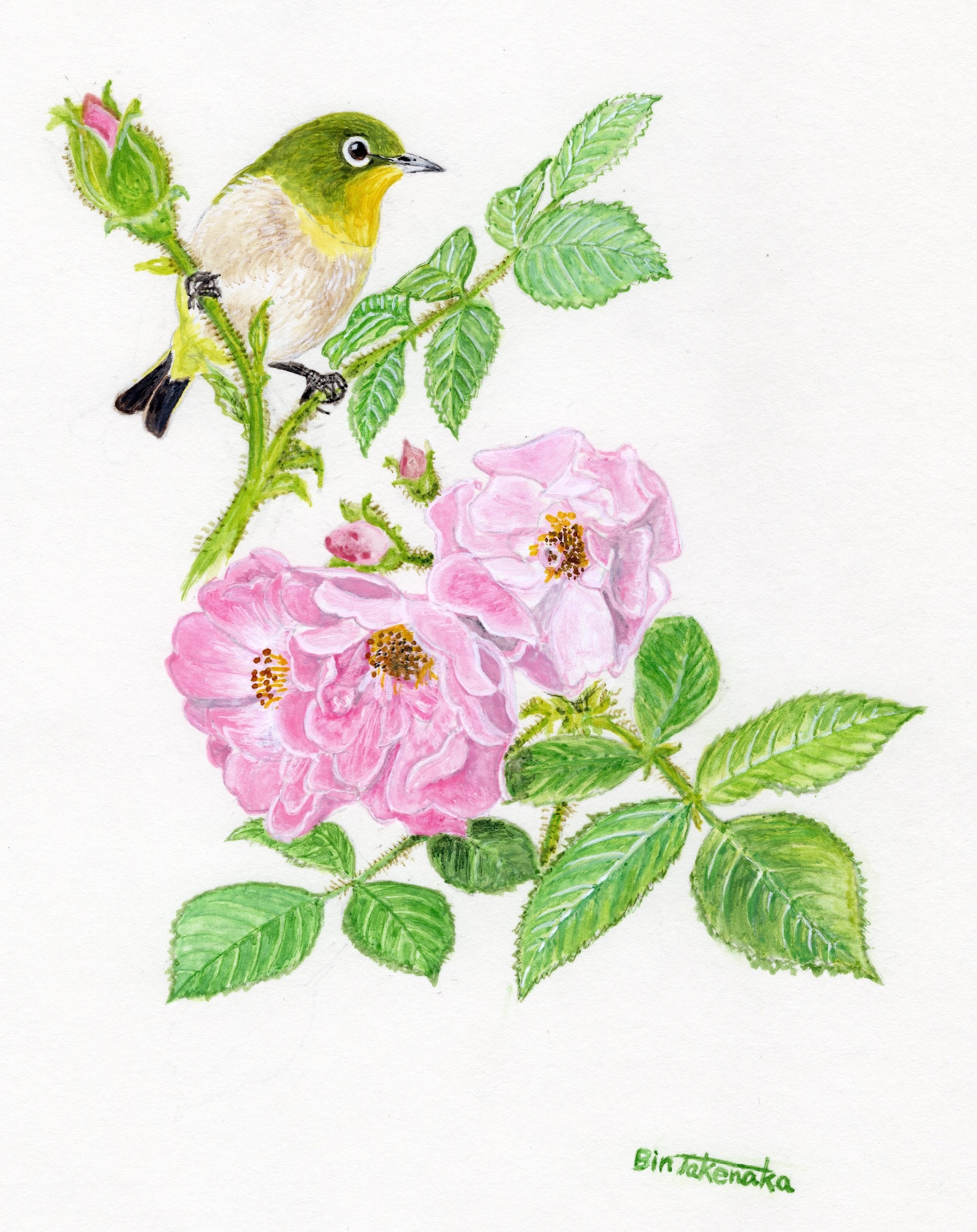 a4dd946b961fb3f44987c3a5393c46