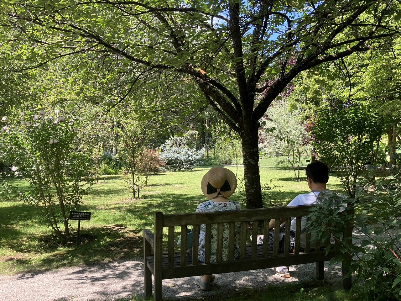 8月10日のガーデン | 蓼科高原バラクライングリッシュガーデン