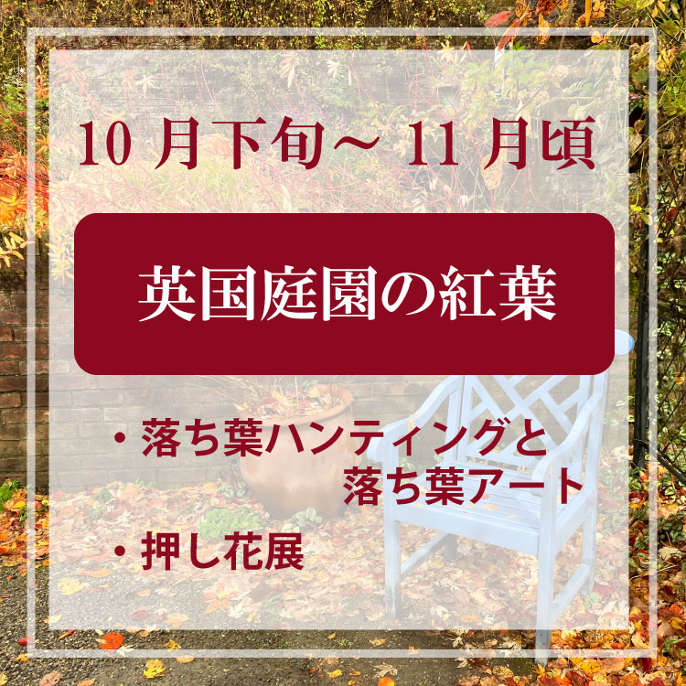 2024年10月11月イベント