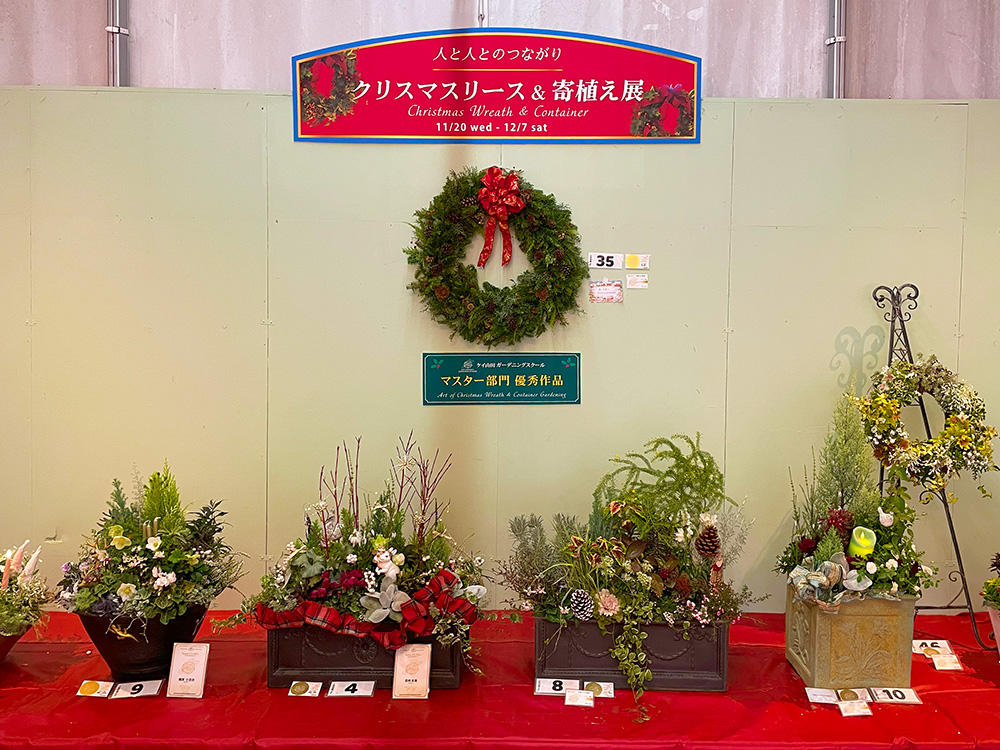 梅子　クリスマスリース クリスマスを彩る針葉樹の三日月リース クリスマスリース お正月