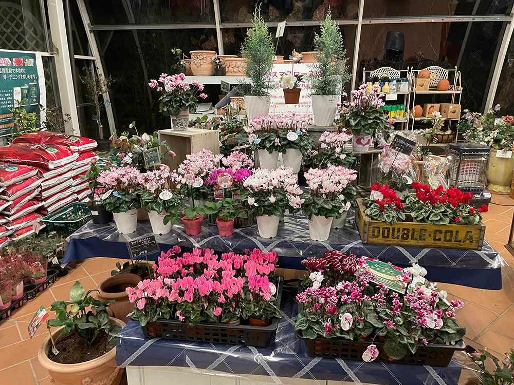 ガーデンセンター | 蓼科高原バラクライングリッシュガーデン